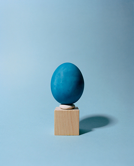 The World Egg - 